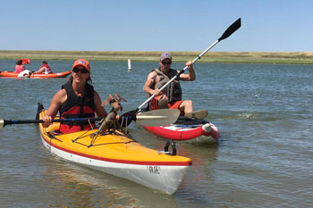 Paddle boards, kayaks and canoes to rent